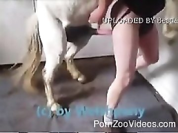 zoo Porn tube
