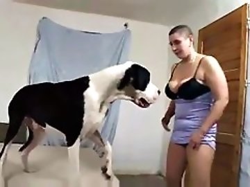 Extreme Animal Porn